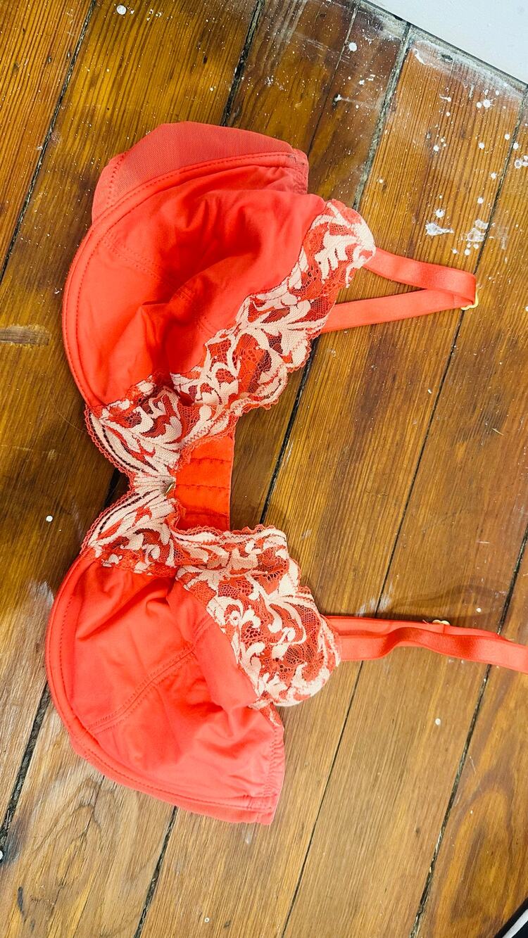 NATORI Coral Pink Lace Trim Mesh Top Adjustable Strap Bra 34 DD